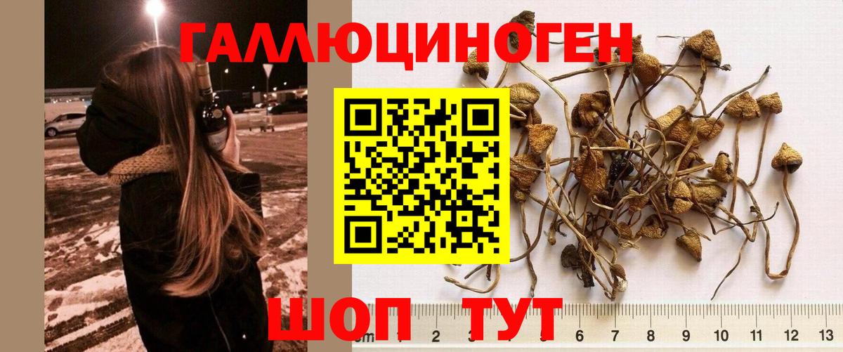 Галлюциногенные грибы ЛСД  Вход с VPN  Коряжма 